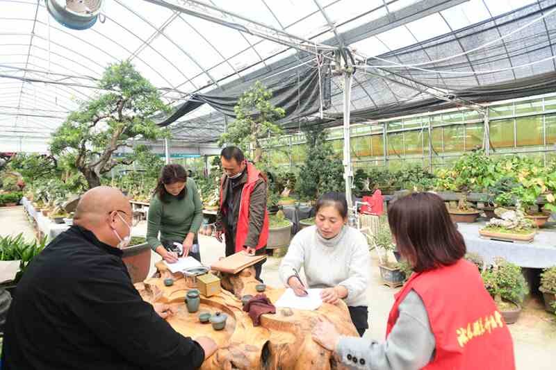 沭阳县花卉协会广泛开展盆景工行业调查工作